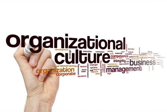 Work Culture